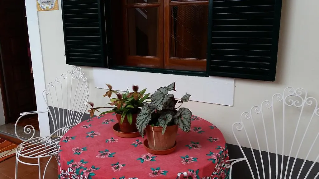 Banana House Hotel Ponta do Sol  0*,