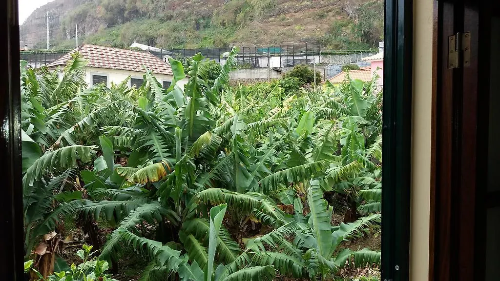 Nyaraló Banana House Hotel Ponta do Sol  Portugália